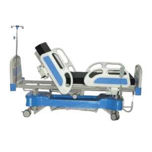 hsa-1